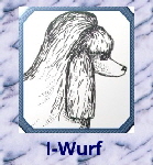 I-Wurf-2