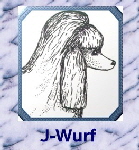J-Wurf-2